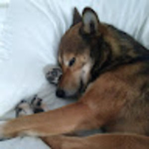 Meet your Posher, Noelle